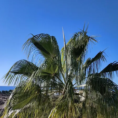 Apartment Sea View *