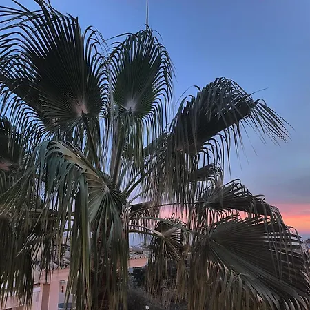 Sea View Apartment